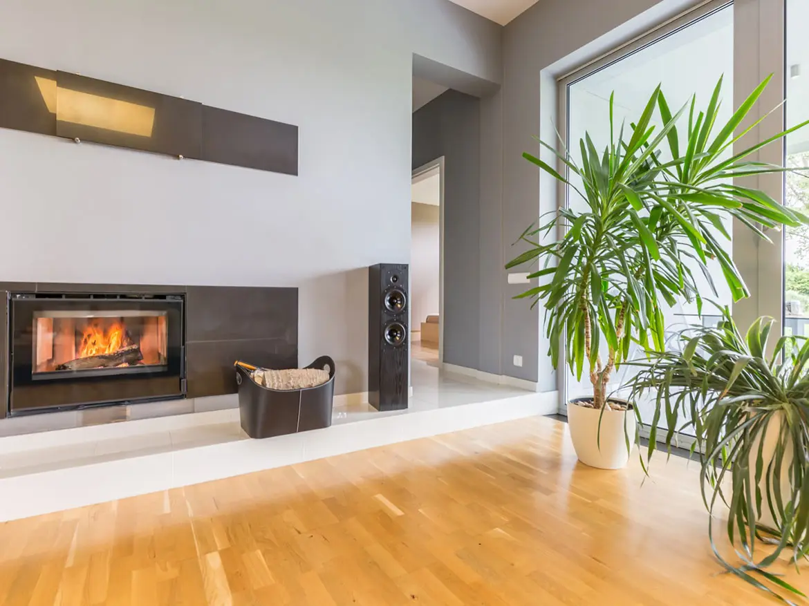 Green view design