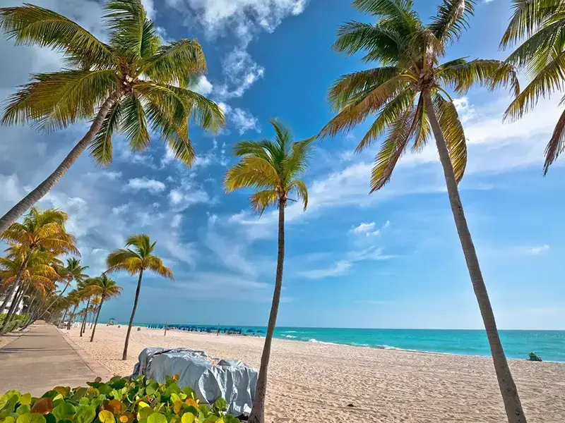 Aventura