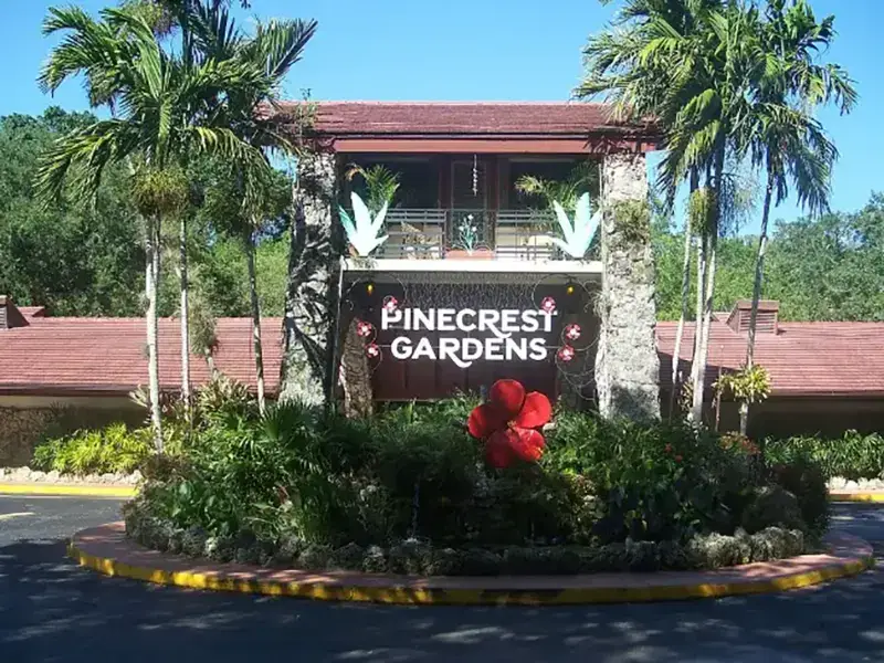 Pine Crest
